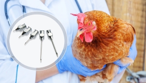 What is a good injection needle and why?